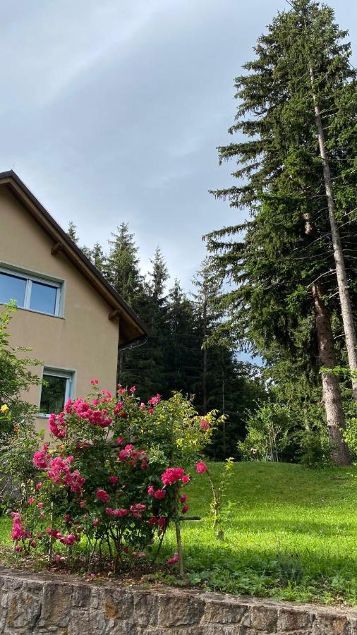 Apartmaji Velikonja Ajdovscina Exterior foto